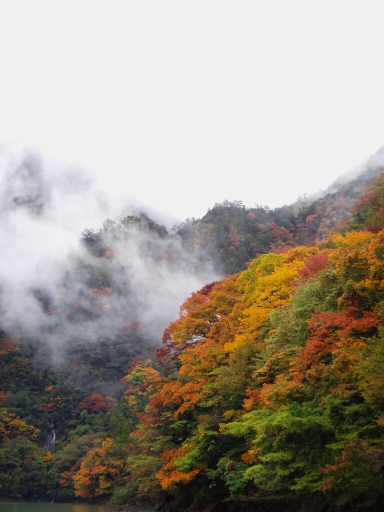 第四千百六十九作　「秋霖に　しみじみと濡れ　木の葉明瞭」　静岡県佐久間