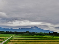 第二千九百九十三作　「野分風吹く　伊吹横切る　足早に」　滋賀県長浜