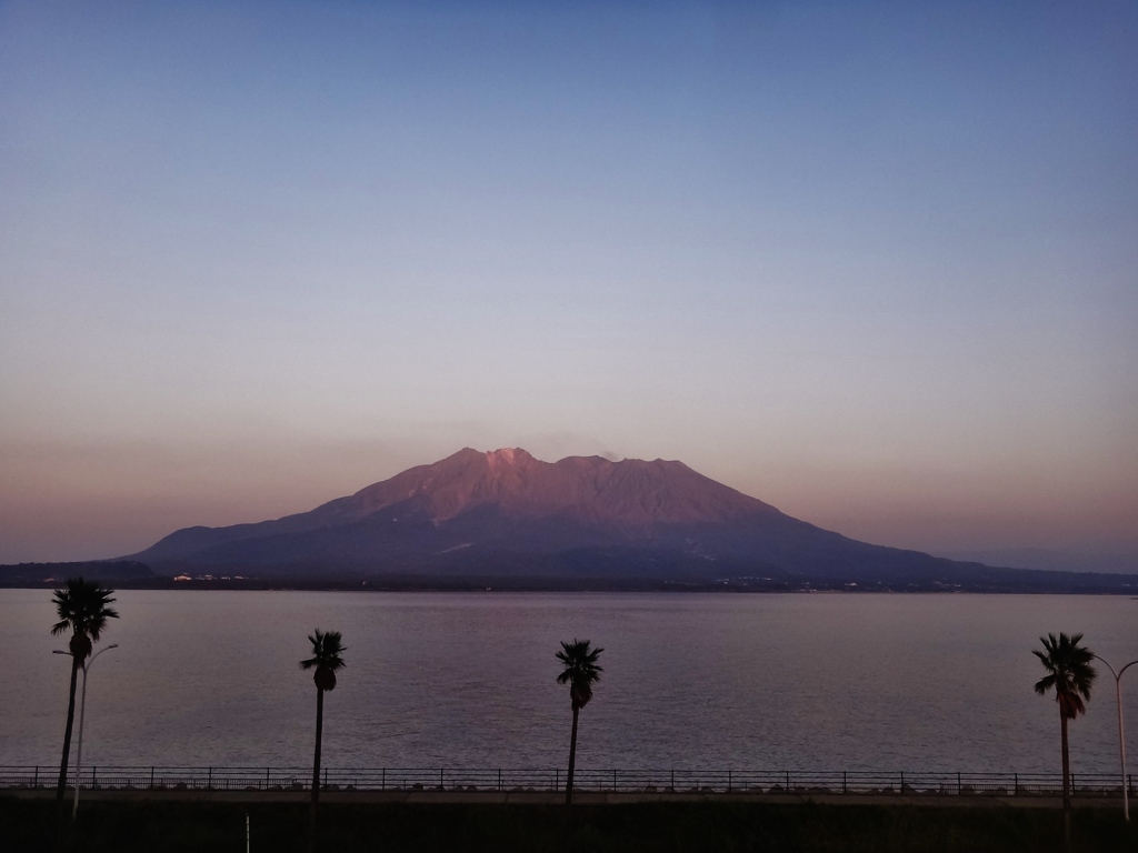 第八百七十六作　　「桜島の想ひ出を　またひとつ　残して去る」　鹿児島県鹿児島
