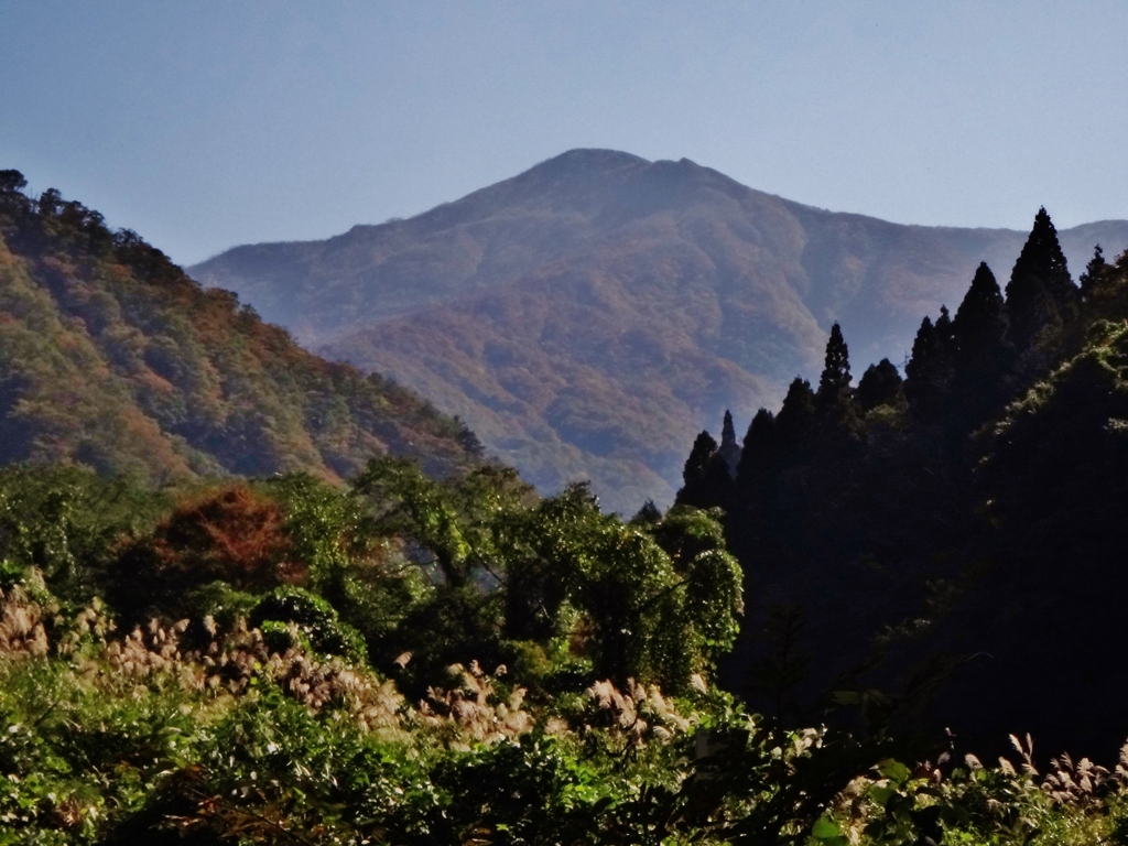 第四千百二十五作　「歩めば山裾に　秋虫賑わふ」　富山県朝日