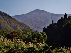 第四千百二十五作 「歩めば山裾に 秋虫賑わふ」 富山県朝日 第四千百二十五作 「歩めば山裾に 秋虫賑わふ」 富山県朝日