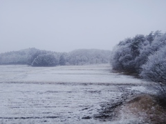 第千三百作　　「野に山にに　吹きつく雪の　ゆけるところまで」　栃木県黒磯