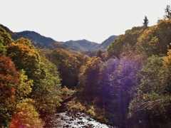 第二千三百五作　「秋の陽ぞんぶんに　いただひて　あゆむ」　北海道定山渓