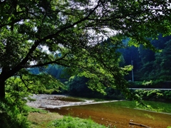 第三千六百五十四作　「木陰　腰かけて　水音をいただき」　静岡県浦川