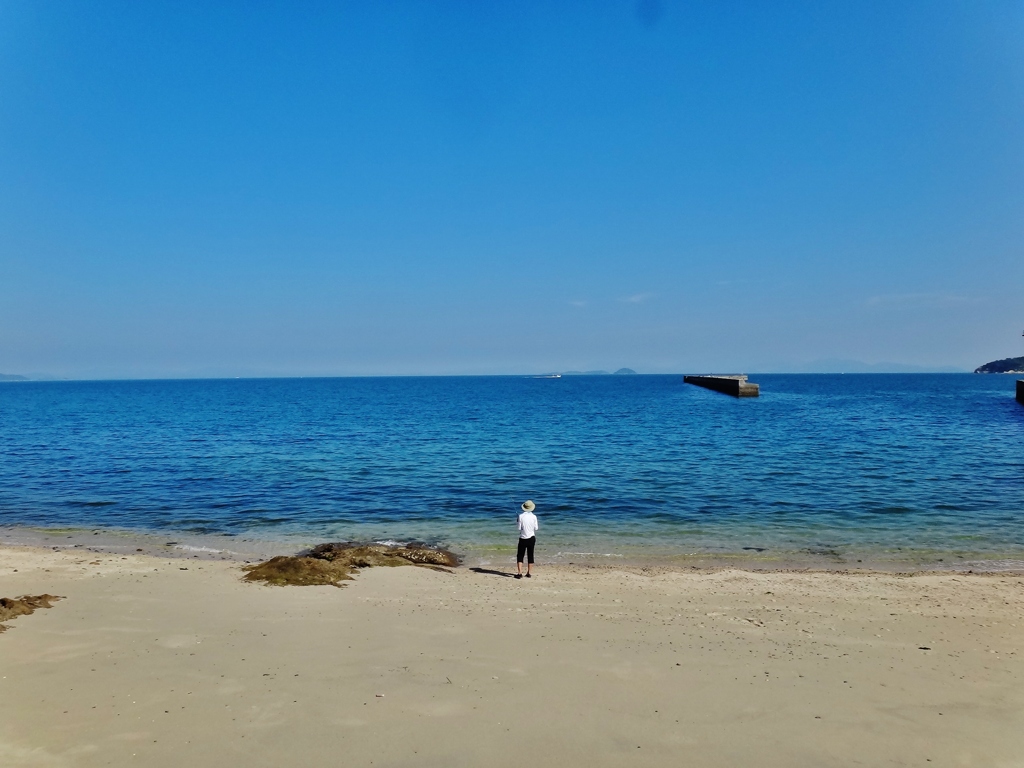 第千百三十九作　　「澄みきつた　朝潮へ　ひよいと竿ふつてゐる」　愛媛県鹿島