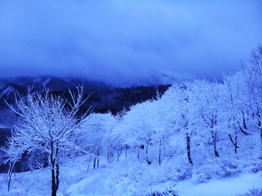 第四千百八十三作　「吹雪去つて　雪のしづかさ」　秋田県木地山