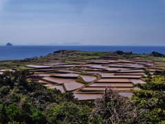 第千七十一作　　「田毎ひとしく　ぞんぶんに　陽を浴びて」　長崎県大石脇