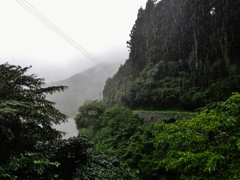第七百九十六作　　「吹きまくられる降りまくられる　山路を急ぐ」　福島県南相馬