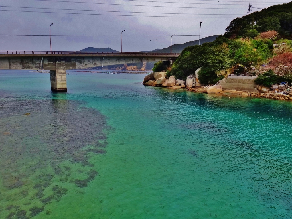 第三千二百七十三作　「海の蒼さを　覗きみる」　高知県栢島