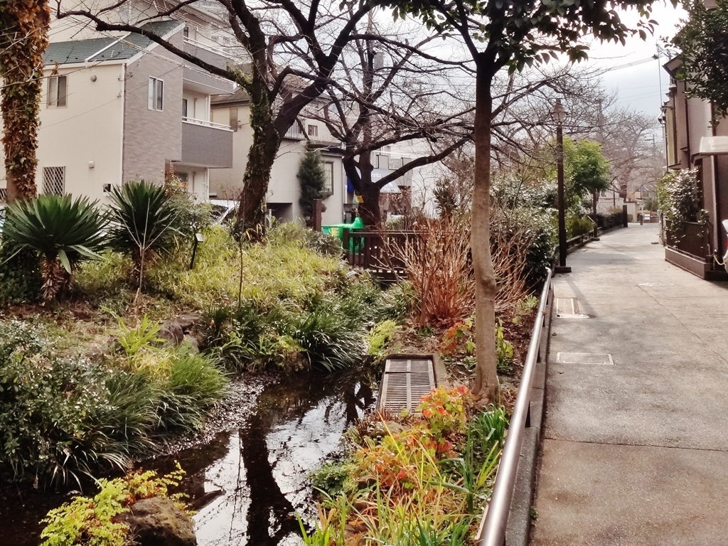 第四千二百二十三作　「学童六人　駆く緑道の　あとやさき」　東京都世田谷