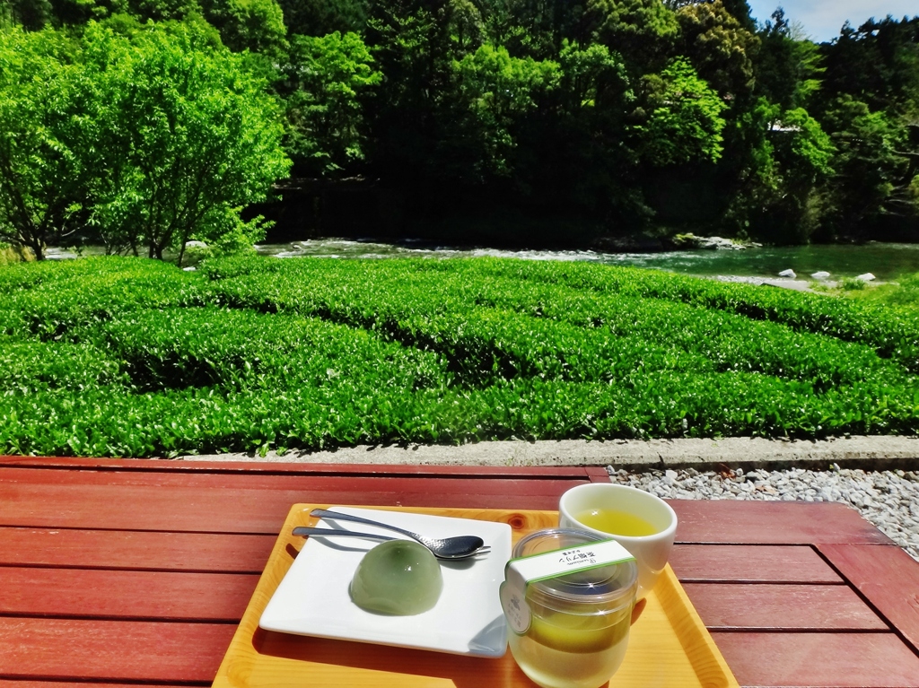 第三千九百六十六作　「茶畑渡る　風に吹かれて　新茶を飲む」　高知県池川