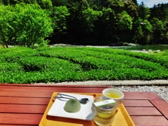 第三千九百六十六作　「茶畑渡る　風に吹かれて　新茶を飲む」　高知県池川