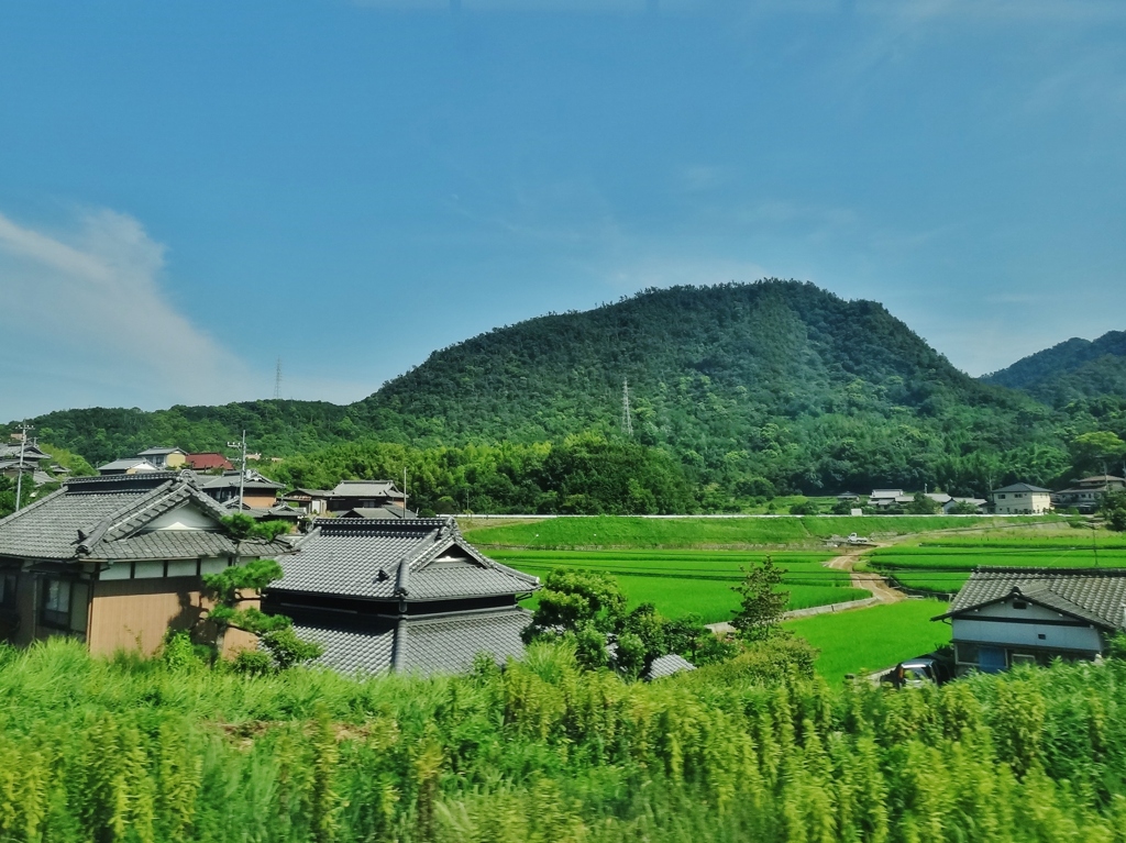 第二千二百二十七作　「藪があつて　そのさきに　稲田あをあを」　香川県高松