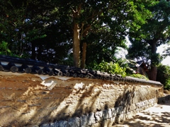 第千百六十作　　「晴れきつて　残り蝉の　今ぞとばかりに鳴く」　山口県防府