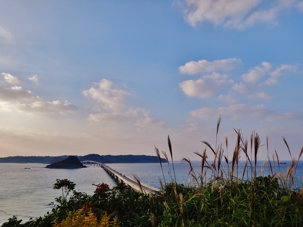 第二千三百十七作　「すすきそよがせ　海の道　まつすぐ」　山口県豊北