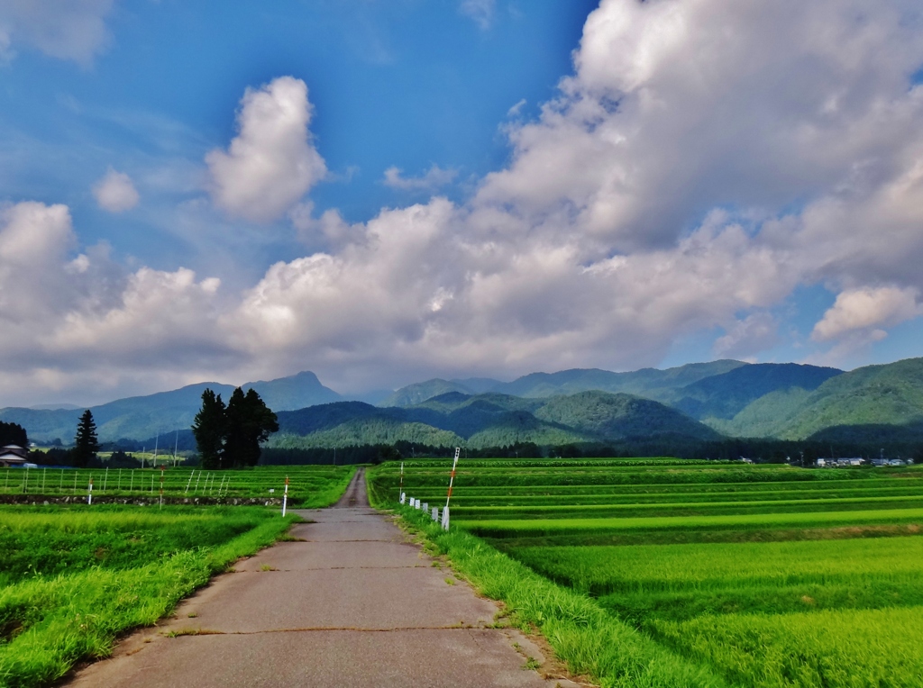 第三千七百一作　「いなかみち　稲のかほりに　秋の近さを」　福井県大月