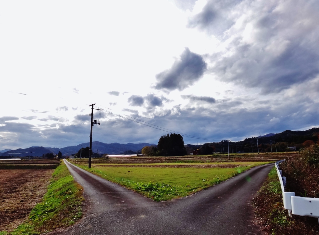 第三千七百九十八作　「寒い　分かれ路に　立つ」　福島県浪江