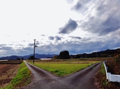 第三千七百九十八作　「寒い　分かれ路に　立つ」　福島県浪江