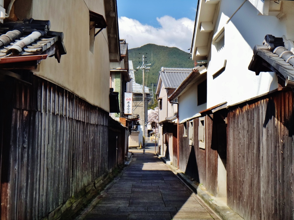 第二千四百六十一作　「考え込みて　迷ふた路地では　あるけれど」　奈良県大宇陀