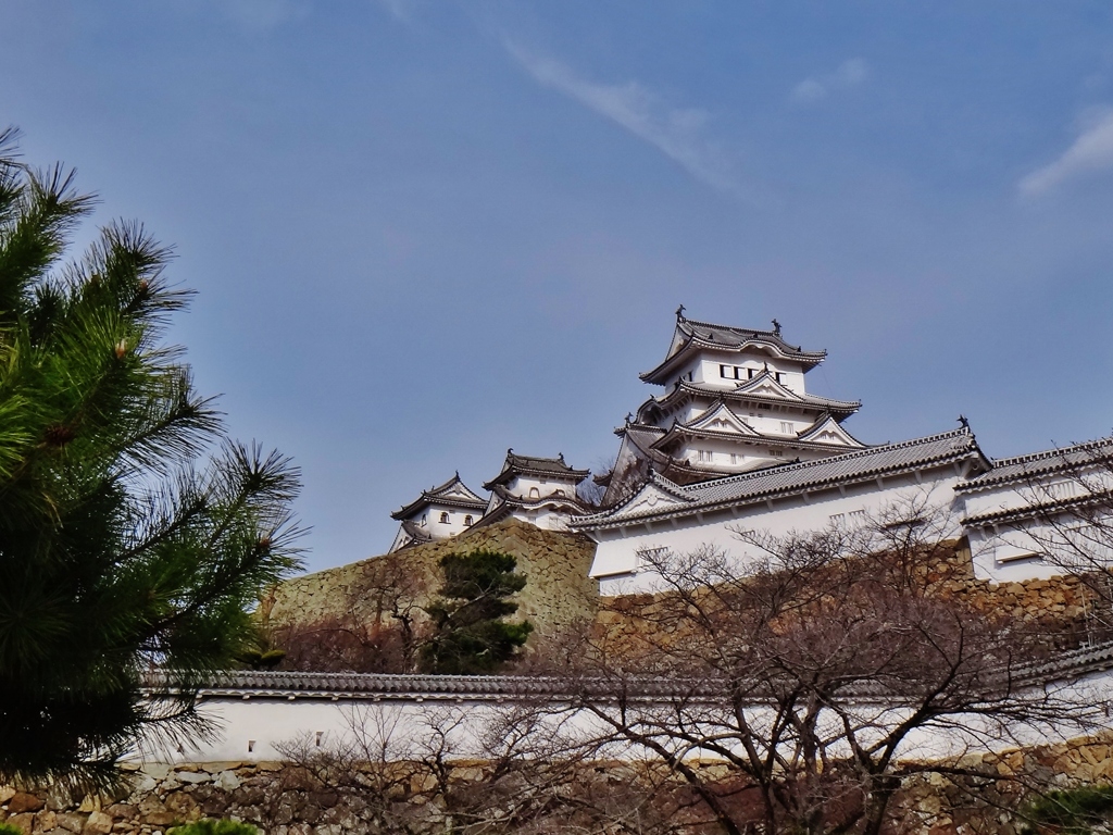 第四千二百四作　「白鷺の　城鮮やかに　冬うらら」　兵庫県姫路