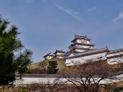 第四千二百四作　「白鷺の　城鮮やかに　冬うらら」　兵庫県姫路