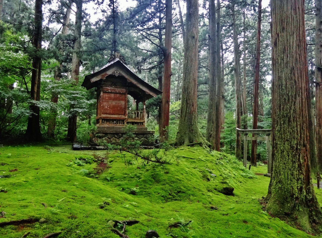 第千百七十七作　　「しつとり濡れて御堂つつましく」　福井県勝山　