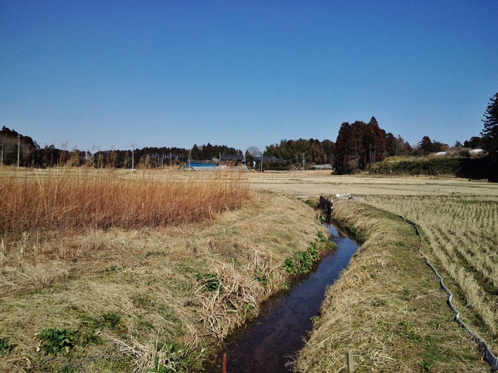 第千七百三作　　「流るる音も　春の兆しか」　茨城県小田