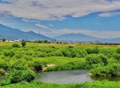 第三千六百九十五作　「草いきれ　かき分けかき分け　八ヶ岳彼方に」　山梨県市川大門