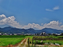 第二千二百二十九作　「湧いて猛々しさの　夏雲を拝む」　愛媛県西条