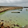 第三千五百五作　「船溜まり　隅々澄んで　汐の満ち引き」　愛媛県興居島
