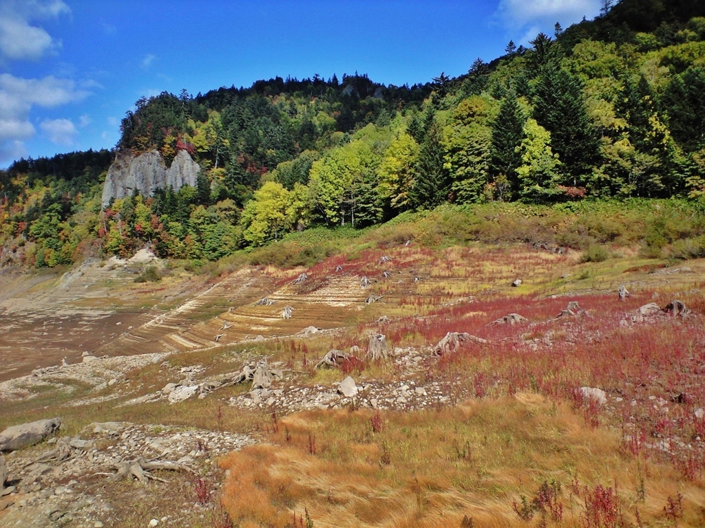 第二千二百八十作　「すつかり枯れて　草のうつくしさに座はる」　北海道定山渓