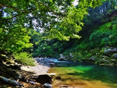 第四千七十一作　「砕ける水の　渕と落ち逢ふ　蝉時雨」　福井県前坂
