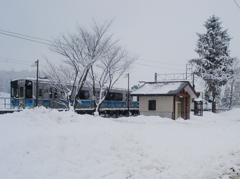 第二千三百七十作　「雪ふりつのる　汽車を待つ」　長野県白馬