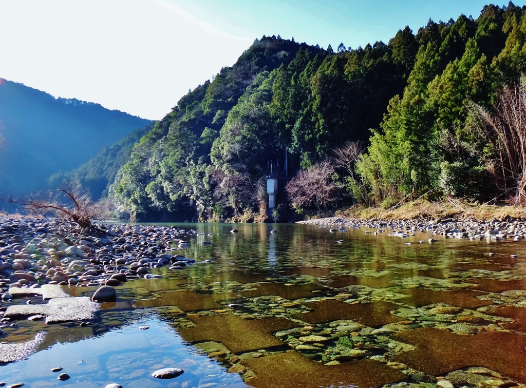 第三千四百六十三作　「寒の水踏む　われ生かされてゐる」　静岡県浦川