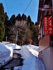 第千三百三十七作　　「雪解けの危うさは　すこし微笑ましくも」　福井県和泉