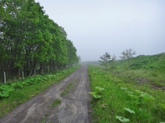 第千八百二十二作　　「うつむひて　霧沸く原野の　一本道を」　北海道釧路
