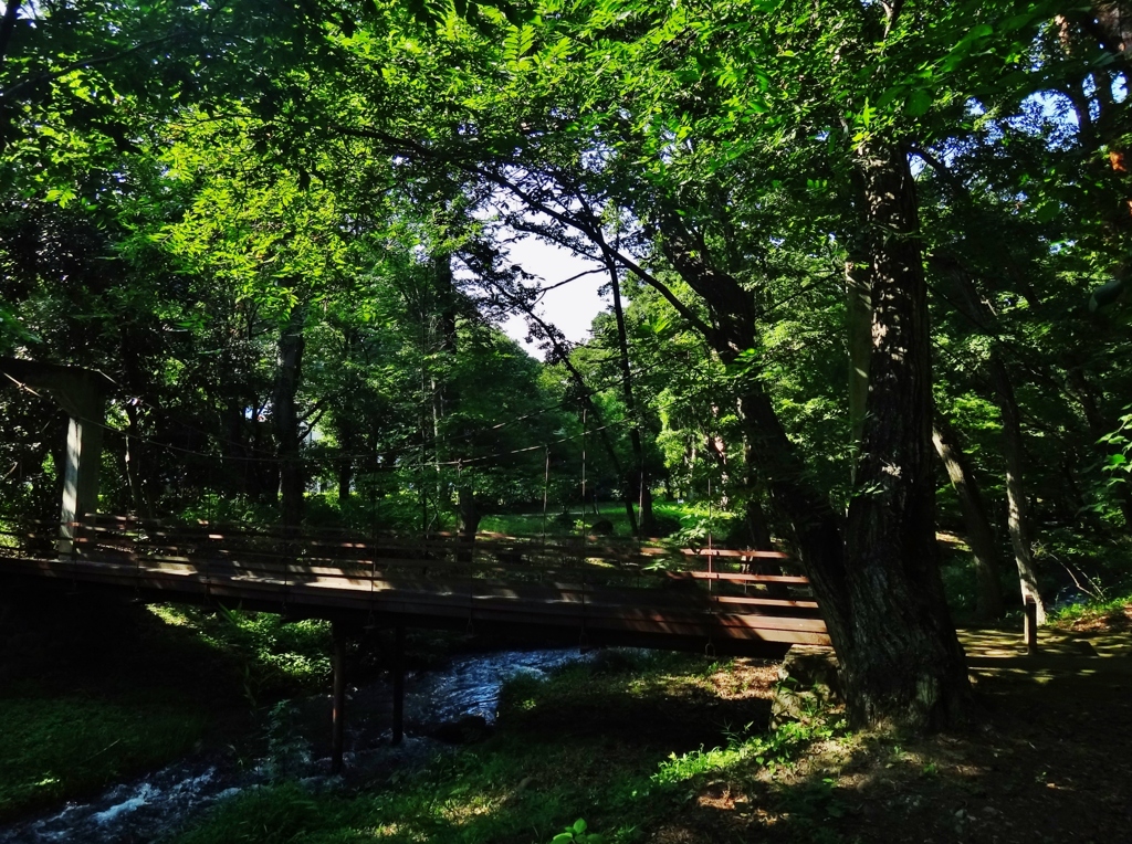 第千八百六十一作　　「蝉時雨　降りそそぐ　橋をわたり」　山梨県万力