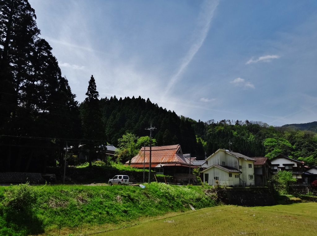 第千四百三作　　「爛漫の　郷のよろしさを　あゆむ」　鳥取県三朝　