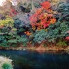 第三千四百四十作　「紅葉づれば　いよいよ深く　淵の溜息ついて」　神奈川県愛川