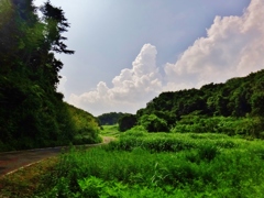 第四千三十四作　「なにやらかにやら　助けられてゐて　夏の雲」　福島県二本松