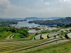 第千四百十作　　「田毎　稲毎に　ぞんぶんのひかり」　佐賀県肥前