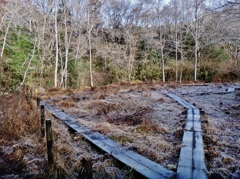 第四千二百三十作　「霜白く　朝の光を　じつと待ち」　茨城県ひたちなか