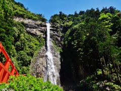 第三千二百四十二作　「大滝の　飛沫に洗わる　若葉みずみずしくも」　和歌山県那智