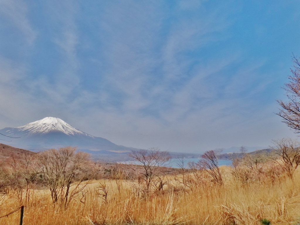 第三千五百七十七作　「ふた山越えて　やうやくここまで　富士の嶺白く」山梨県山中湖