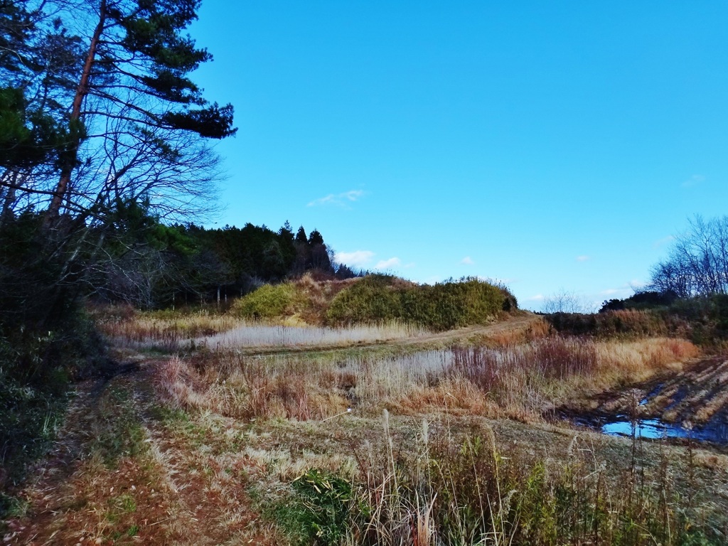 第四千百九十七作　「また旅人となる　寒い野道で」　福島県南相馬