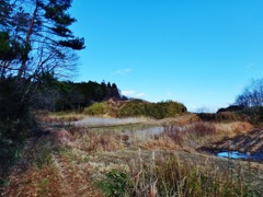 第四千百九十七作　「また旅人となる　寒い野道で」　福島県南相馬