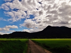 第二千六百三十作　「あちらは晴れている　秋の田をゆく」　長野県中野