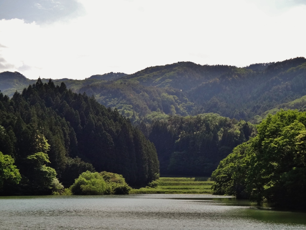 第千四十九作　　「午后の陽は　なつかしさの　水音するほうへ」　福島県南相馬