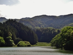 第千四十九作　　「午后の陽は　なつかしさの　水音するほうへ」　福島県南相馬