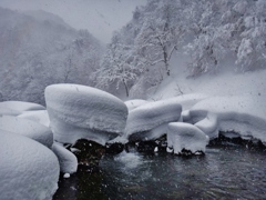 第二千七百八十二作　「積もりに積もつて　また降る雪かよ」　福井県和泉